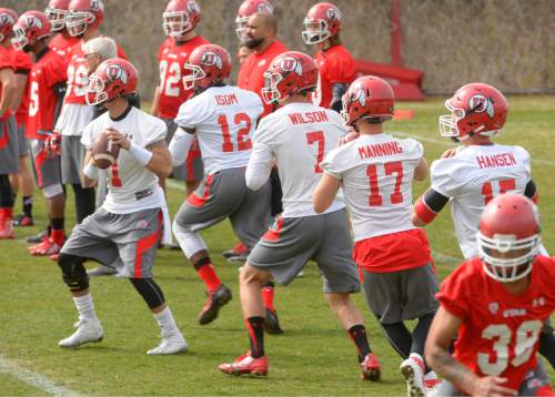 Leah Hogsten  |  The Salt Lake Tribune
Kendal Thompson, far left, participates in throwing drills with Utah quarterbacks during Utah's first spring practice on March 24, 2015. Thompson was limited this spring while he recovered from an injury to his ACL, but he may again challenge Travis Wilson (No. 7) for the starting job come fall camp.