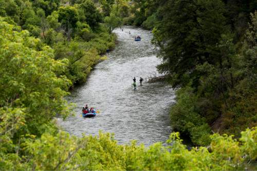 Rick Egan  |  The Salt Lake Tribune

Fly fishermen and river runners share the Provo River, Friday, August 7, 2015.