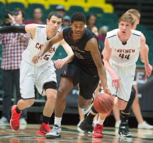 Steve Griffin  |  The Salt Lake Tribune

Lone Peak's Christian PoPoola steals the ball during game between American Fork and Lone Peak at UVU UCCU Arena in Provo, Tuesday, February 10, 2015.