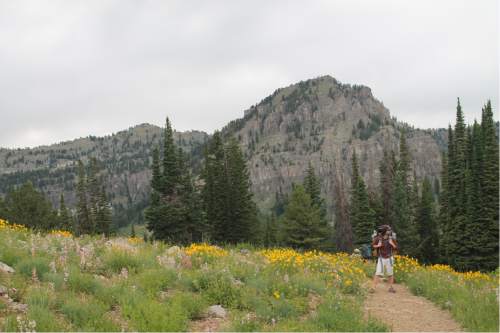 Jessica Miller  |  The Salt Lake Tribune

Kelly Miller hikes the White Pine Lake Trial on July 17, 2015.