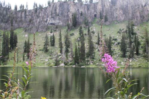 Jessica Miller  |  The Salt Lake Tribune

The White Pine Lake Trail near Tony Grove Lake in Logan, July 17. 2015.