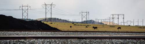 Francisco Kjolseth  |  The Salt Lake Tribune 
Cows graze the pastures adjacent to the Levan transfer facility along Interstate 15 south of Nephi. Coal trucked from central Utah piles up at the Levan transfer station south of Nephi, where it is loaded on Union Pacific freight cars bound for California. Utah's Community Impact Board has awarded a $53 million loan to four coal-producing counties to invest in a deep-water port in Oakland, Calif. hoping to connect central Utah commodities with export markets. Bowie Resource Partners already exports about 1 to 3 million tons of coal from its Utah mines.