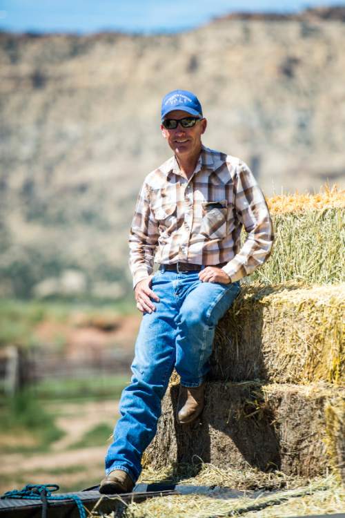 Chris Detrick  |  The Salt Lake Tribune
Link Chynoweth poses for a portrait on his ranch in Escalante Thursday July 30, 2015.