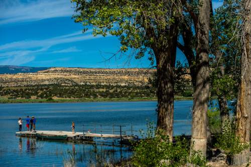 Chris Detrick  |  The Salt Lake Tribune
Campers fish and swim in Wide Hollow Reservoir in Escalante Thursday July 30, 2015.