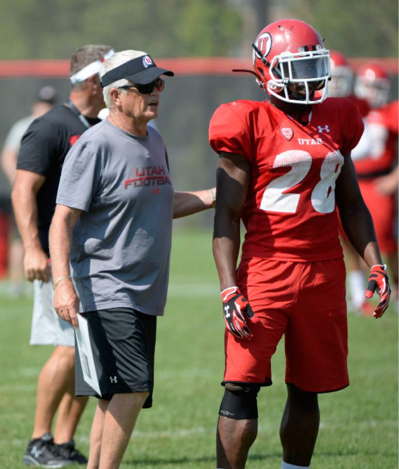 Al Hartmann  |  The Salt Lake Tribune
Assistant head coach Dennis Erickson coaches running back Joe Williams during practice Monday August 17.