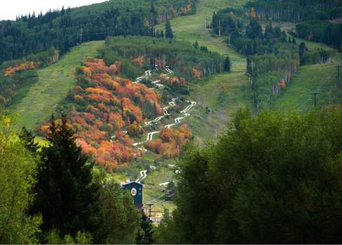 Steve Griffin  |  The Salt Lake Tribune


Leaves are starting to change colors at the Park City Mountain Resort  in Park City, Friday, September 5, 2014.