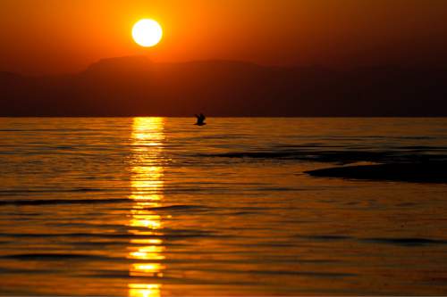 Lennie Mahler  |  The Salt Lake Tribune

A seagull flies past as the sun sets over the Great Salt Lake near Saltair in Magna, Utah, on Saturday, Aug. 22, 2015.