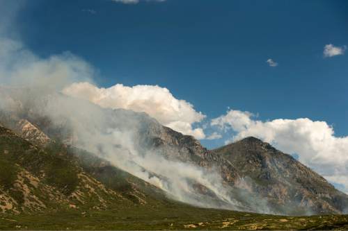 Rick Egan  |  The Salt Lake Tribune

A wildfire burns in the mountains southeast of Payson, Monday, August 24, 2015.