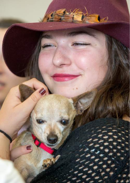 Rick Egan  |  The Salt Lake Tribune

Polina Coulter, 14, Sandy holds her newly adopted dog "Tiny", at Salt Lake County Animal Services Petapalooza at the Viridian Event Center, in West Jordan. Petapalooza is a dog and cat adoption event for local-area shelters and rescue groups.Saturday, August 29, 2015.