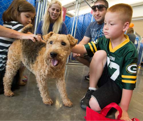 Rick Egan  |  The Salt Lake Tribune

 Javier Mercado, 7, pet a dog named Sammy, at Salt Lake County Animal Services Petapalooza at the Viridian Event Center, in West Jordan. Petapalooza is a dog and cat adoption event for local-area shelters and rescue groups.Saturday, August 29, 2015.