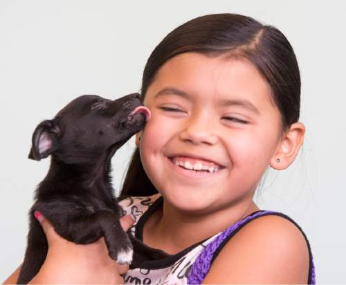 Rick Egan  |  The Salt Lake Tribune

Mya Merino, 8, Kearns, gets a lick from her new little dog "Paris", at Salt Lake County Animal Services Petapalooza at the Viridian Event Center, in West Jordan. Petapalooza is a dog and cat adoption event for local-area shelters and rescue groups.Saturday, August 29, 2015.