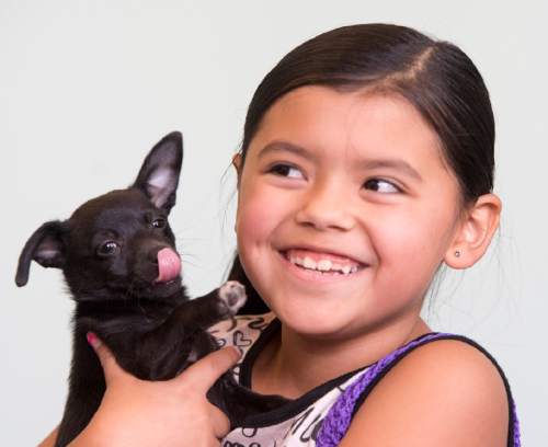 Rick Egan  |  The Salt Lake Tribune

Mya Merino, 8, Kearns, holds her new little dog "Paris", at Salt Lake County Animal Services Petapalooza at the Viridian Event Center, in West Jordan. Petapalooza is a dog and cat adoption event for local-area shelters and rescue groups.Saturday, August 29, 2015.