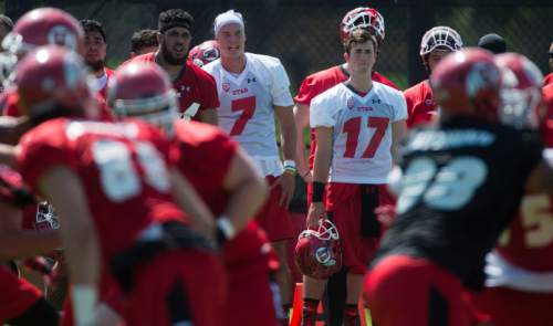 Steve Griffin  |  The Salt Lake Tribune

University of Utah quarterback Travis Wilson (#7) watches the reserves practice during first day of fall football camp at the University of Utah baseball field in Salt Lake City, Thursday, August 6, 2015.  l
