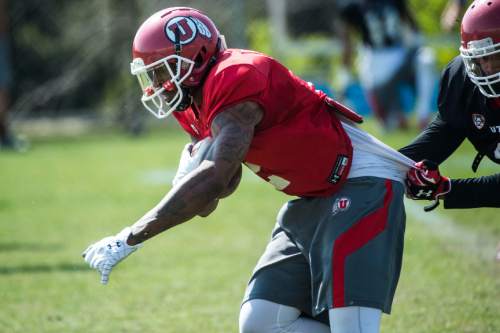 Chris Detrick  |  The Salt Lake Tribune
Utah wide receiver Kenneth Scott (2)  is tackled during a practice Tuesday April 21, 2015.