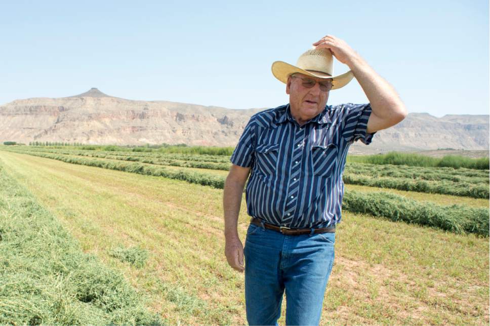 Rick Egan  |  The Salt Lake Tribune

Local farmer John Wadsworth, checks on some of his fields on his farm in Hurricane, Thursday, August 20, 2015.