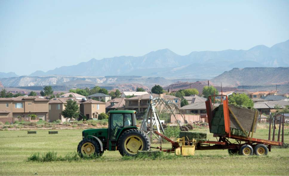 Rick Egan  |  The Salt Lake Tribune

Dennis Frei bales hay on one of his fields in Santa Clara, Thursday, August 20, 2015.