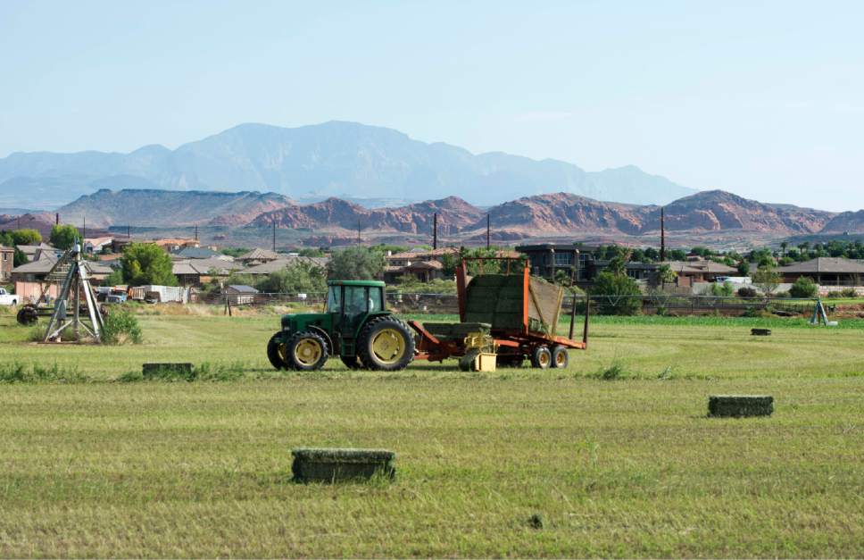 Rick Egan  |   Tribune file photo

Dennis Frei bales hay on one of his fields in Santa Clara, Thursday, August 20, 2015. Hay is exempt from Utah's sales tax.