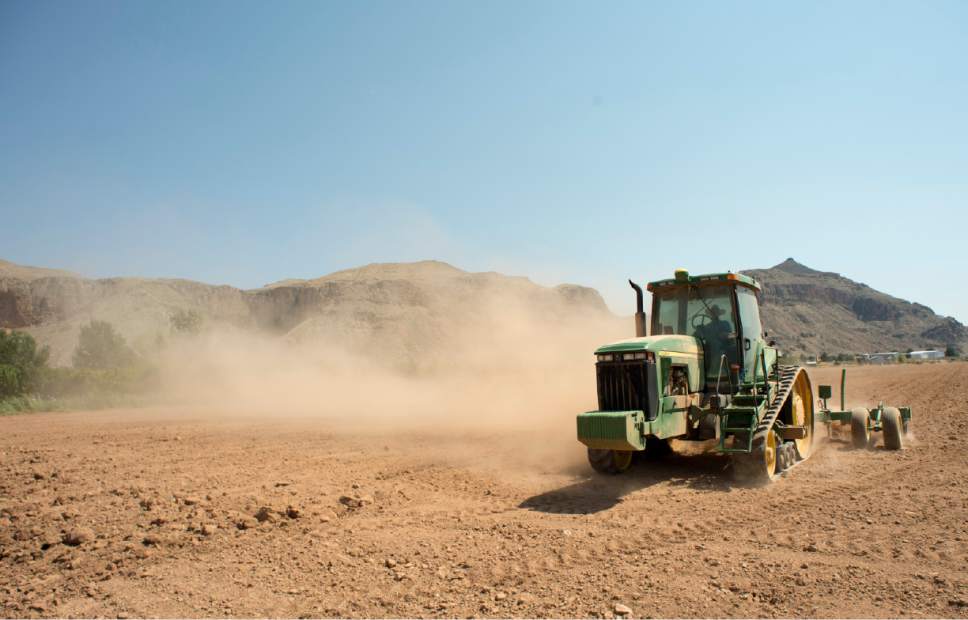 Rick Egan  |  The Salt Lake Tribune

Derek Spendlove, plows one of the fields on John Wadsworth's farm in Hurricane, Thursday, August 20, 2015.