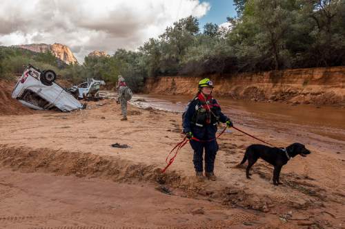 Trent Nelson  |  The Salt Lake Tribune
Searchers from Utah Task Force One and the Utah National Guard comb a wash, looking for the remaining victim of a flash flood, in Hildale, Wednesday September 16, 2015.