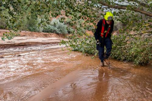 Trent Nelson  |  The Salt Lake Tribune
Erik Van Duren of Task Force One searches the Short Creek Wash in Hildale, Wednesday September 16, 2015. The Utah National Guard and law enforcement on Wednesday resumed searching for the last known victim of a flash flood that tore through this polygamous border town home to followers of Warren Jeffs, leaving 13 dead and three injured, all of them women and children.