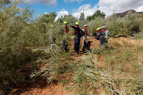 Trent Nelson  |  The Salt Lake Tribune
Members of the Utah National Guard and Task Force One search the Short Creek Wash in Hildale, Wednesday September 16, 2015. The Utah National Guard and law enforcement on Wednesday resumed searching for the last known victim of a flash flood that tore through this polygamous border town home to followers of Warren Jeffs, leaving 13 dead and three injured, all of them women and children.