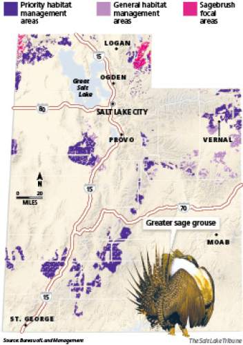 Greater Sage Grouse Habitat Areas The Bureau Of Land Managments Conservation Plan For The Greater Sage Greater Sage Grouse Habitat Areas The Bureau Of Land Managments Conservation Plan For The Greater Sage