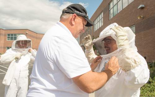 Rick Egan  |  The Salt Lake Tribune

L-R Robin Anderson, District Custodial Manager, of the Salt Lake City School District, and Salt Lake School District assistant custodial supervisors, Merv Brewer, and Ricky Martinez, prepare to remove a hornets nest, in a tree at Beacon Heights Elementary School, Thursday, September 17, 2015.