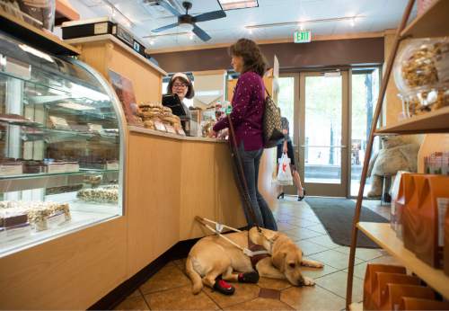 Rick Egan  |  The Salt Lake Tribune

Becky Andrews buys a treat for she and her dog Georgie, in downtown Salt Lake City, Wednesday, August 12, 2015.