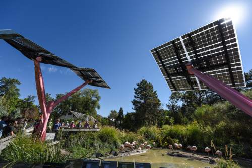 Francisco Kjolseth | The Salt Lake Tribune
Tracy Aviary shows off their new solar trees in the flamingo habitat as Rocky Mountain Power hosts a tours to tout its Blue Sky clean energy program.
