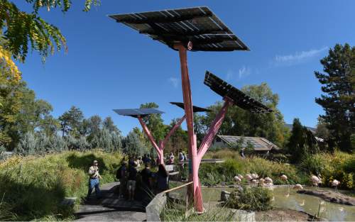 Francisco Kjolseth | The Salt Lake Tribune
Tracy Aviary shows off their new solar trees in the flamingo habitat as well as the solar panels on an adjacent building as Rocky Mountain Power hosts a tours to tout its Blue Sky clean energy program.
