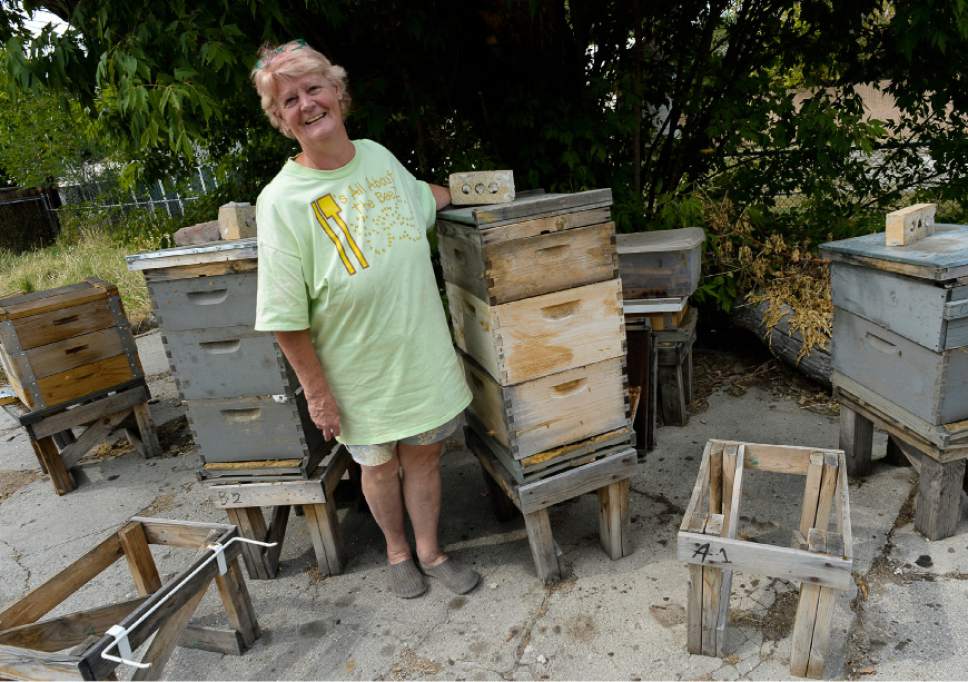 Francisco Kjolseth  |  The Salt Lake Tribune
Bee Keeper Denise Hunsaker, President of the Wasatch Bee Keepers Association is passionate about bees. It was five years ago that a friend got her interested and started her with her first hive. Since then her love has grown and she loves educating the public about the importance of the honey bee. " One third of every bite we eat can be attributed to bee pollination".