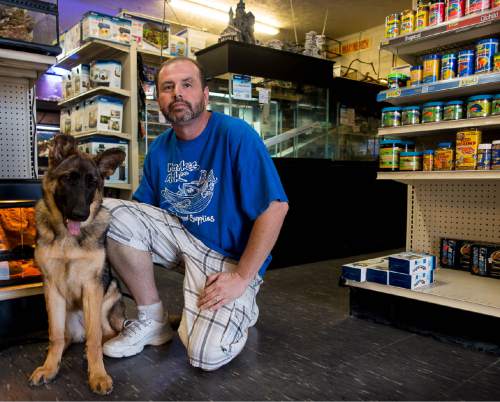 Trent Nelson  |  The Salt Lake Tribune
Todd Poulson, owner of Mark's Ark Pet store in Taylorsville, with his dog Sadie, Wednesday, Oct. 7, 2015. Poulson has been a vocal opponent of the recent ban on selling pets (puppies, cats, bunnies) at pet stores in Salt Lake County unless the animals come from shelters .