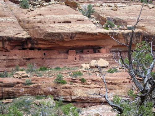 Al Hartmann  |  Tribune file photo
Multi-room Anasazi structures built under a sandstone alcove in a canyon on Cedar Mesa in San Juan County.  The area is included for a proposed Bears Ears National Conservation Area.