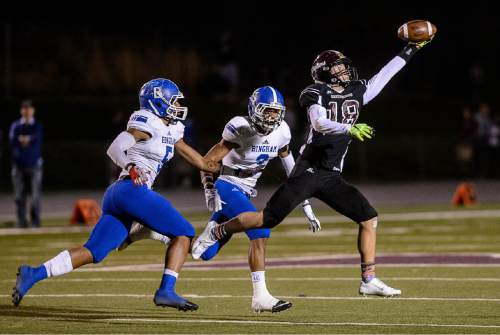 Trent Nelson  |  The Salt Lake Tribune
Jordan's Spencer Curtis pulls in a leaping, one-handed catch as Jordan hosts Bingham High School football in Sandy, Wednesday October 14, 2015.