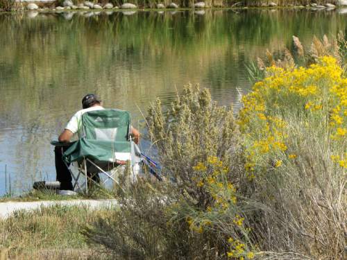 Tom Wharton  |  The Salt Lake Tribune

Angler enjoys accessible Sandy pond fishery.