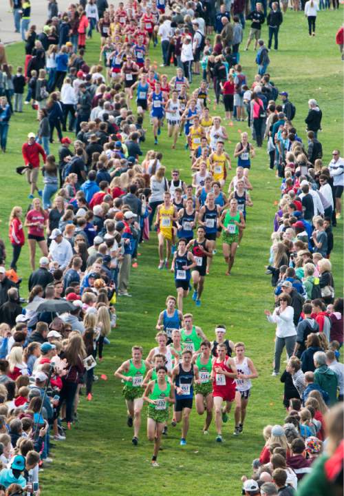 Rick Egan  |  The Salt Lake Tribune

Runners make their way to the first big hill, in the Boys 3A cross country state championship race at Sugarhouse Park, Wednesday, October 21, 2015.