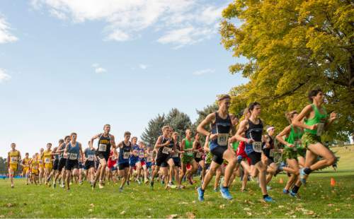 Rick Egan  |  The Salt Lake Tribune

Boys 3A runners head for the first turn, in the championship race at Sugarhouse Park, Wednesday, October 21, 2015.