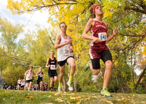Rick Egan  |  The Salt Lake Tribune

Boys 5A runners head for the home stretch,  in the 5A championship race at Sugarhouse Park, Wednesday, October 21, 2015.