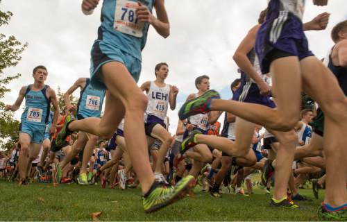Rick Egan  |  The Salt Lake Tribune

Runners jockey for position at the start of the Boys 5A cross country state championship race at Sugarhouse Park, Wednesday, October 21, 2015.