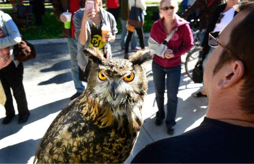 Scott Sommerdorf   |  The Salt Lake Tribune
Eric McGill with Earthwings bird shows holds "Pumpkin" the owl at the last Farmers Market in Pioneer Park on Saturday.