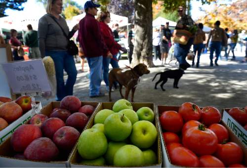 Scott Sommerdorf   |  The Salt Lake Tribune
Visitors to the last Farmers Market in Pioneer Park, walk past some of the fresh produce available at the Wilkerson Organic Farm booth, Saturday, October 24, 2015.