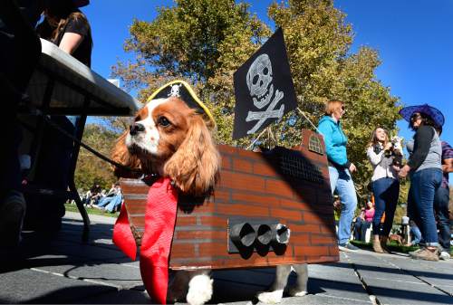 Scott Sommerdorf   |  The Salt Lake Tribune
"Snarls" the dog dressed as a pirate ship with his owner  Chris Peterson won the "most creative" award at the "Howl-o-Ween" Pet Costume Contest at the last Farmers Market in Pioneer Park, Saturday, October 24, 2015.