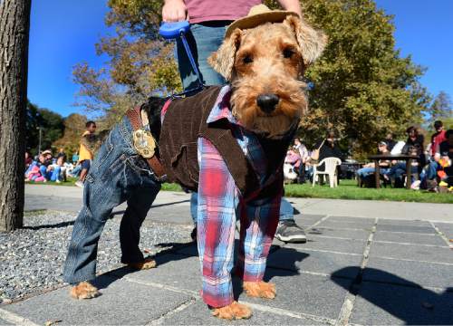 Scott Sommerdorf   |  The Salt Lake Tribune
"Winston" the dog with owner Brett Allman won the best of show at the "Howl-o-Ween" Pet Costume Contest held at the last Farmers Market in Pioneer Park, Saturday, October 24, 2015.