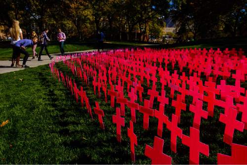 Trent Nelson  |  The Salt Lake Tribune
Pink crosses stand on the University of Utah campus as part of Students for Life of America's Planned Parenthood Project, in Salt Lake City on Tuesday, Oct. 27, 2015. The anti-abortion display is scheduled to appear at 80 college campuses this fall.