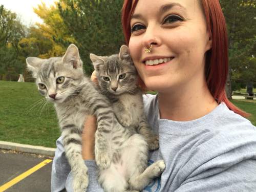 Rick Egan  |  The Salt Lake Tribune

Elisa Hellermann from Nuzzles & Co holds Barclay and Baxter, two kittens that will be driven around by Uber drivers today.