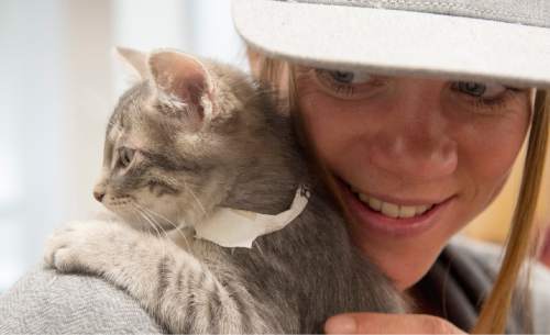 Rick Egan  |  The Salt Lake Tribune

Veronika Mayerhofer cuddles a kitten delivered to her class at the University of Utah, by Uber Kittens, on National Cat day, Thursday, October 29, 2015.