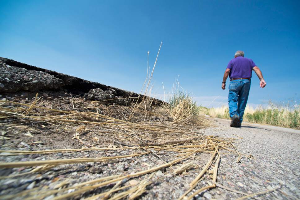 Rick Egan  |  The Salt Lake Tribune

Bill Lund, senior scientist for the Utah Geological survey, talks about the dangers of the falling water table, as he points out a fissure that stopped a subdivision from being built near Enoch, Thursday, August 20, 2015.