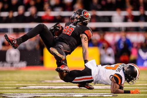 Trent Nelson  |  The Salt Lake Tribune
Utah Utes tight end Harrison Handley (88) is tripped up by Oregon State Beavers safety Cyril Noland-Lewis (17) as the University of Utah hosts Oregon State, NCAA football at Rice-Eccles Stadium in Salt Lake City, Saturday October 31, 2015.