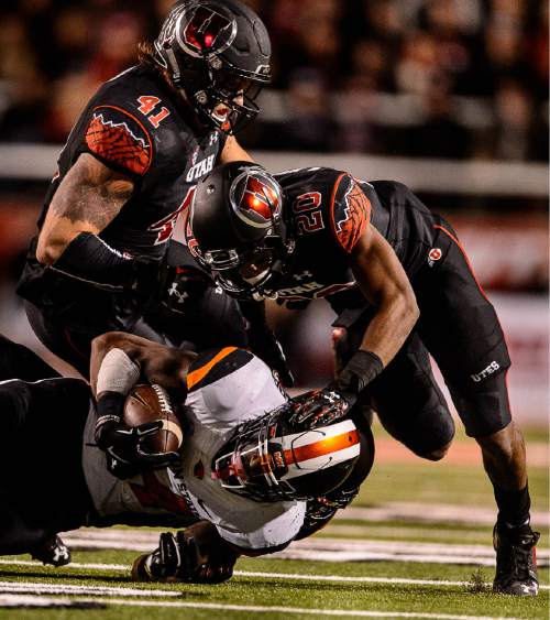 Trent Nelson  |  The Salt Lake Tribune
Utah Utes linebacker Jared Norris (41) and Utah Utes defensive back Marcus Williams (20) bring down Oregon State Beavers running back Storm Woods (24) as the University of Utah hosts Oregon State, NCAA football at Rice-Eccles Stadium in Salt Lake City, Saturday October 31, 2015.