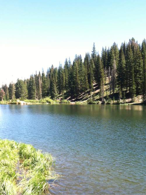 Nate Carlisle  |  The Salt Lake Tribune

Bloods Lake, as seen here on Aug. 18, 2014, attracts hikers and campers.